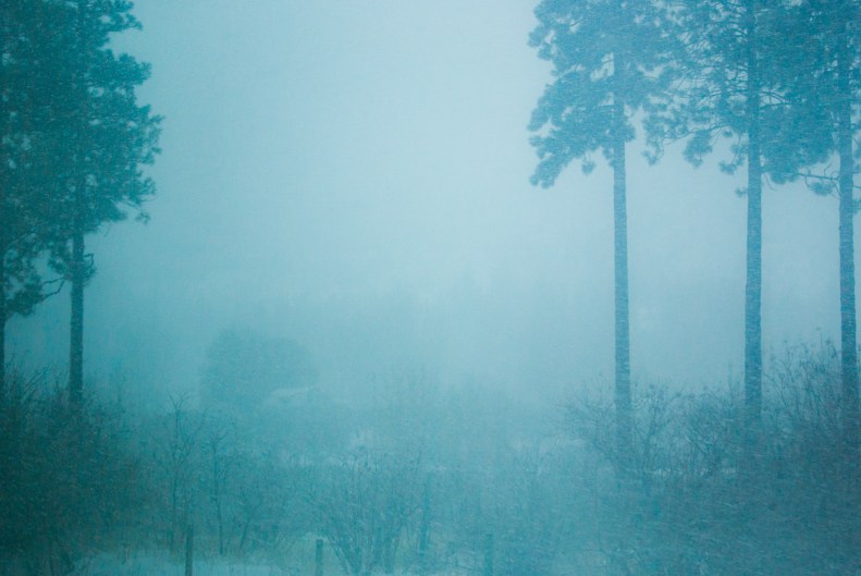 Jessamyn Tuttle IMGP1249