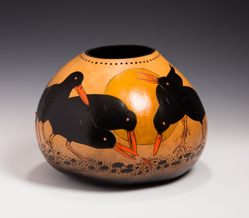 dreed black oystercatchers vessel